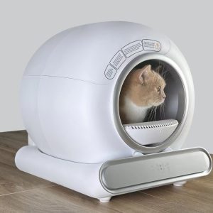automatic cat litter cleaning box