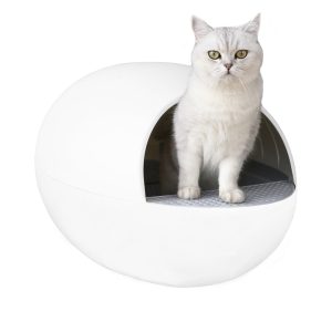 Self Cleaning Cat Litter Box