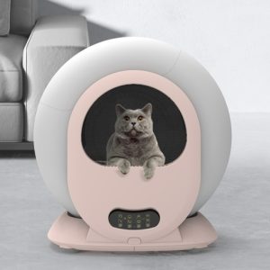 cat potty
