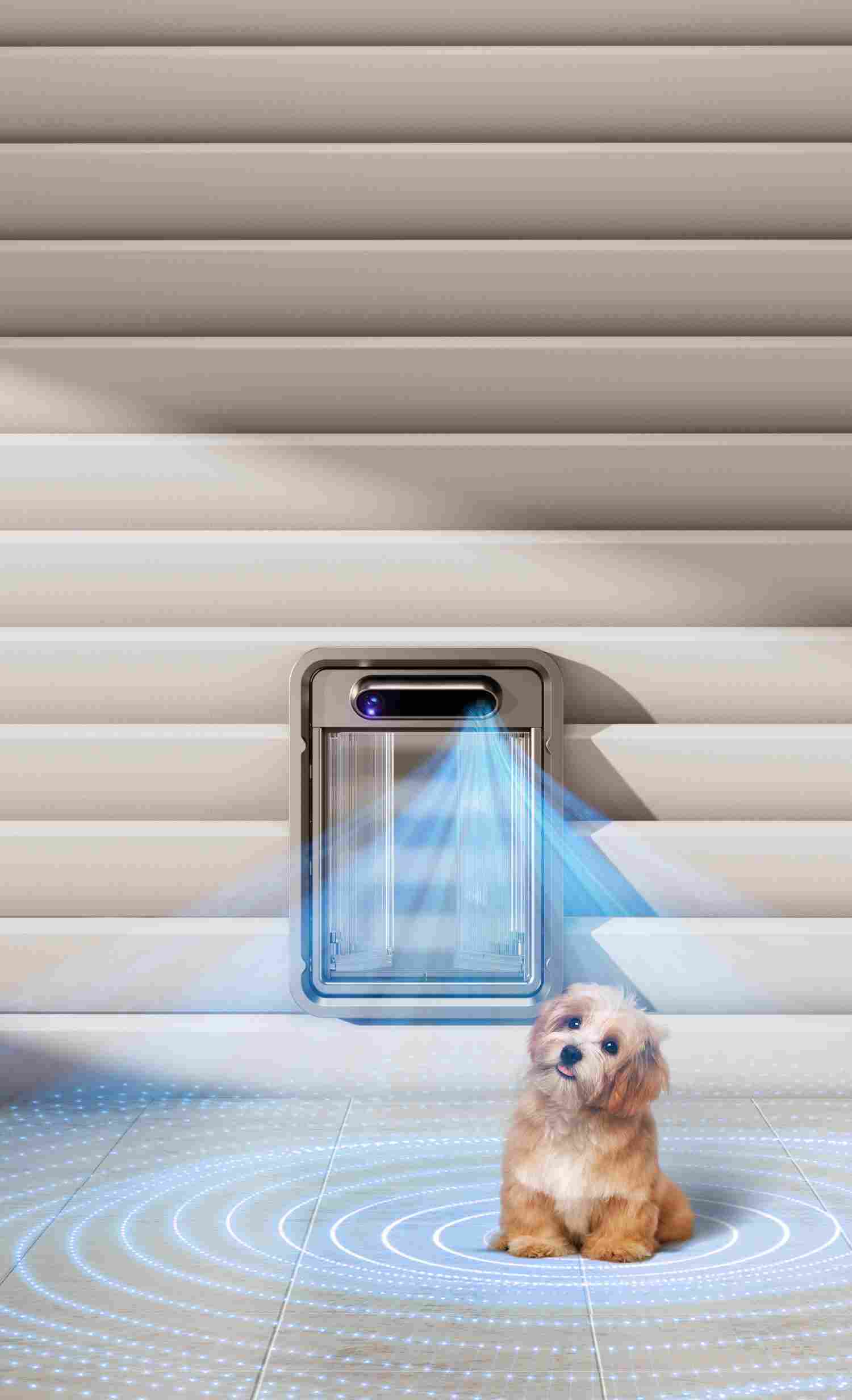 Smart Pet Door with Millimeter Wave Detection Scanning Area - Small Dog Sitting on Detected Floor Grid Near Door
