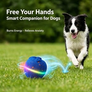 Light boop ball dog toy, automatic moving ball to burn energy and relieve anxiety for outdoor dog play