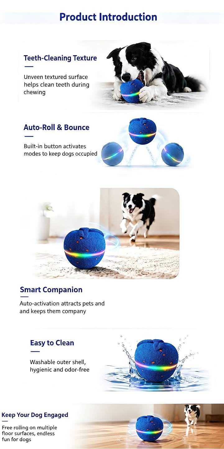 Intro boop ball dog toy overview graphic, showing teeth cleaning, auto roll bounce, washable shell and smart companion features