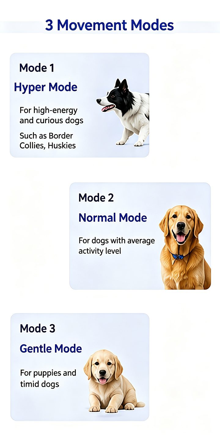 Modes boop ball dog toy guide, introducing hyper, normal and gentle movement modes for different dogs and puppies